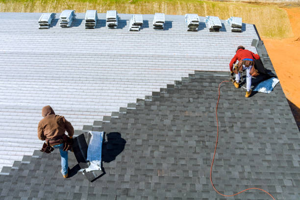 Best Roof Waterproofing Services  in Jacksonvle, IL