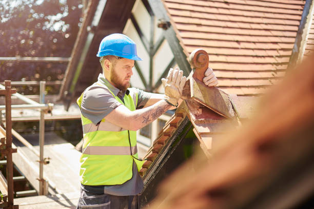 Best Roof Repair Services  in Jacksonvle, IL